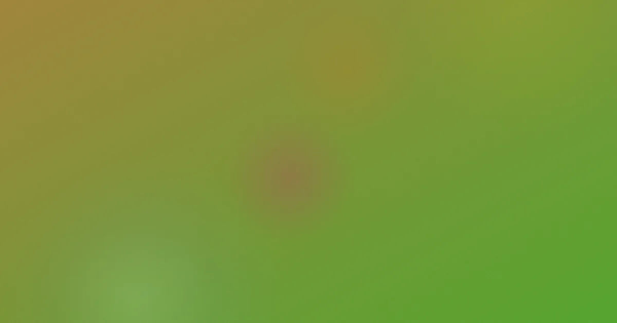 Bell推荐：新手这样选不乱花钱